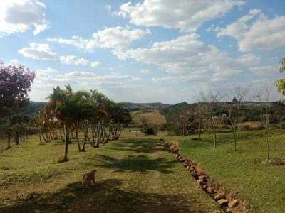 Chácara, 3 quartos, 3 hectares - Foto 5