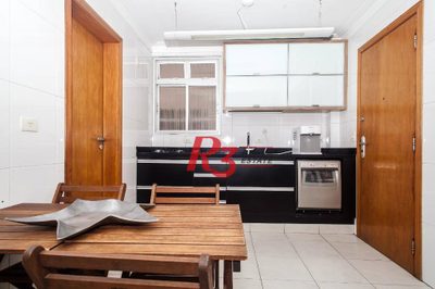 Cobertura, 4 quartos, 271 m² - Foto 4