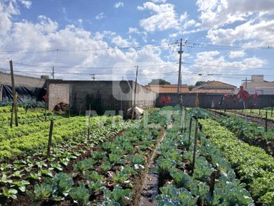 Terreno, 1 m² - Foto 2