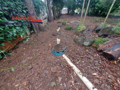Terreno - Foto 5