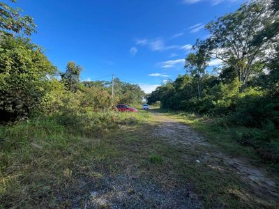 Terreno, 125 m² - Foto 5