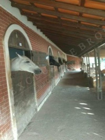 Chácara, 6 quartos - Foto 2