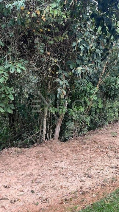 Terreno, 400 m² - Foto 1