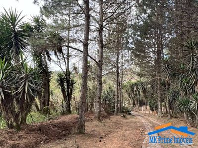 Terreno, 2 hectares - Foto 2