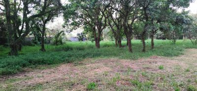 Terreno, 1012 m² - Foto 5