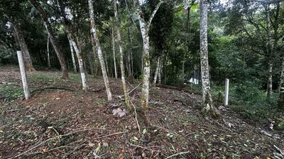Terreno, 386 m² - Foto 5