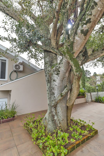 Casa, 4 quartos, 455 m² - Foto 5