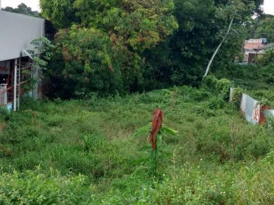 Terreno - Foto 2