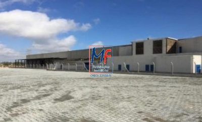 Depósito-Galpão, 23397 m² - Foto 2