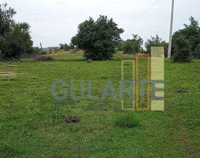 Fazenda, 218 hectares - Foto 1