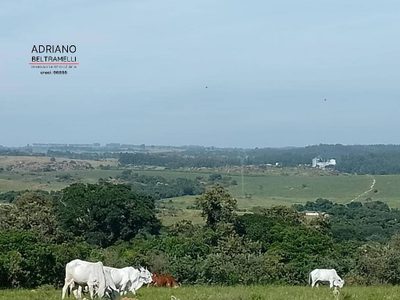 Fazenda, 199 hectares - Foto 3