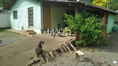 Casa, 2 quartos, 444 m² - Foto 1