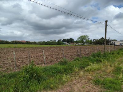 Sítio, 28 hectares - Foto 2