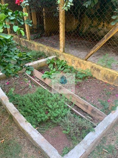 Chácara, 5 quartos, 3000 m² - Foto 3