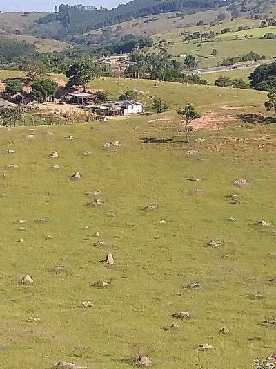 Terreno, 4 hectares - Foto 1