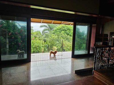 Casa, 4 quartos, 119 m² - Foto 3