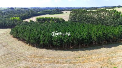 Fazenda, 33 m² - Foto 2