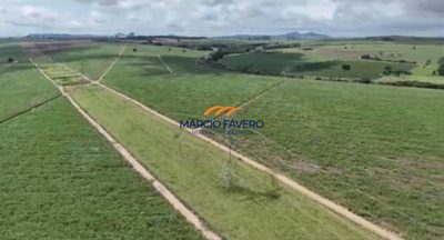 Fazenda, 242 hectares - Foto 4