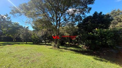Chácara, 5 quartos, 3450 m² - Foto 4