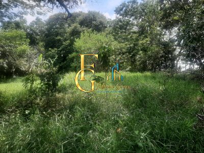 Terreno, 3460 m² - Foto 3