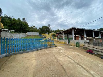 Sítio, 3 quartos, 2870 m² - Foto 5