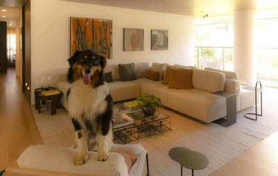 Apartamento, 4 quartos, 206 m² - Foto 4
