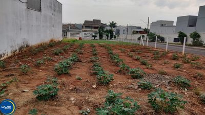 Terreno, 314 m² - Foto 4