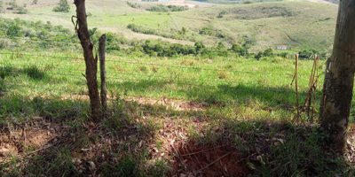 Fazenda, 10000 m² - Foto 3