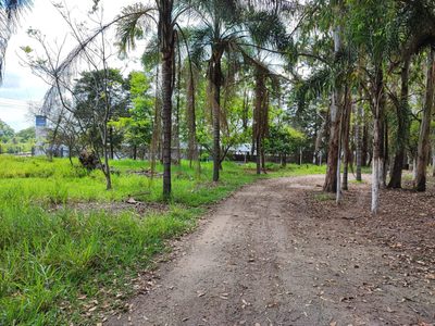Terreno, 4 hectares - Foto 3