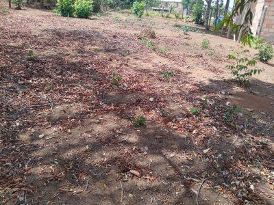 Terreno, 360 m² - Foto 3