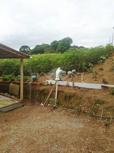 Chácara, 1 quarto, 5040 m² - Foto 3