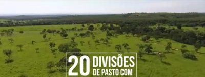 Chácara, 1 quarto - Foto 3