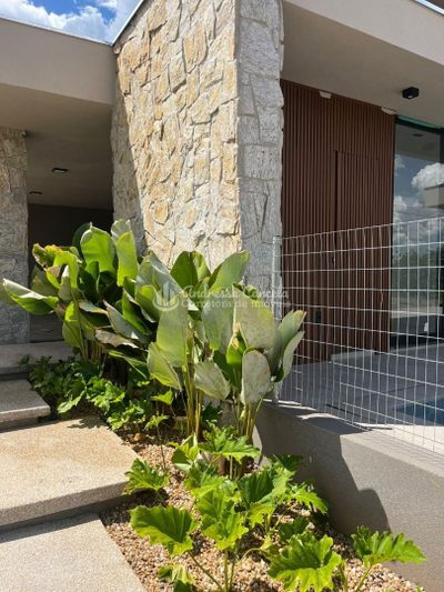 Casa, 3 quartos, 250 m² - Foto 1