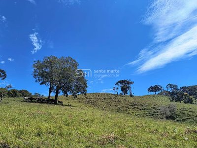 Fazenda, 65 hectares - Foto 3