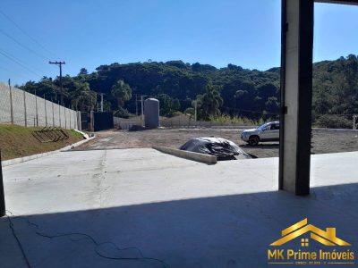 Depósito-Galpão, 2500 m² - Foto 4