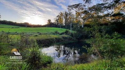 Sítio, 6 hectares - Foto 3