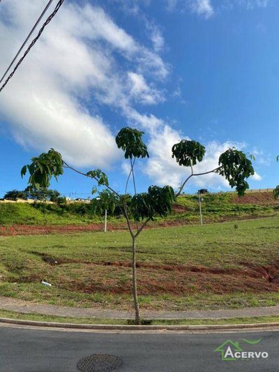 Loteamento e Condomínio, 353 m² - Foto 4