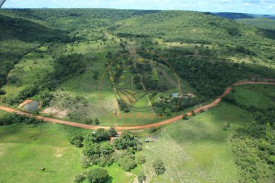 Fazenda - Foto 3