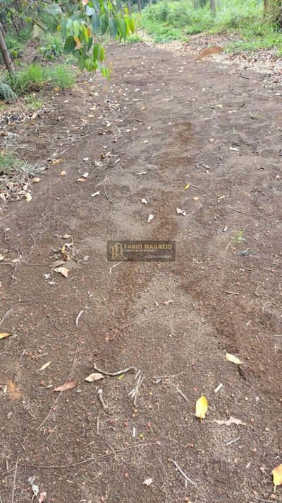 Terreno, 25 m² - Foto 5