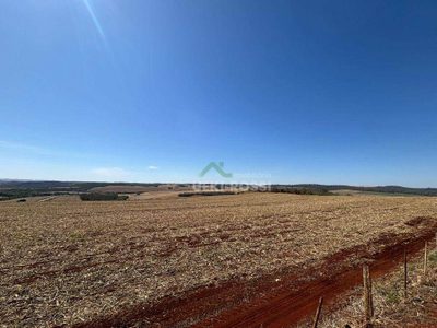 Fazenda, 232 hectares - Foto 2