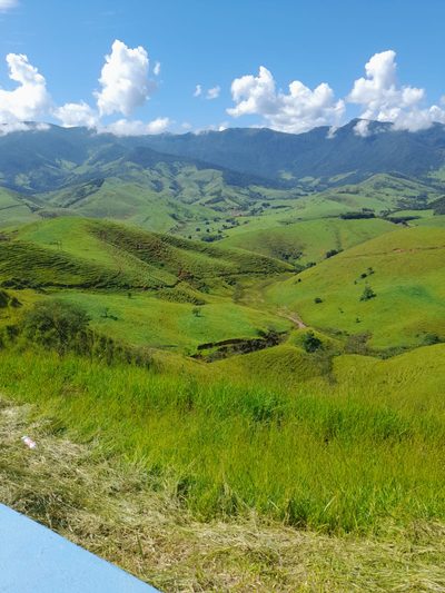 Fazenda, 63 hectares - Foto 3