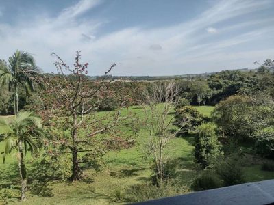 Chácara, 3 quartos, 4 hectares - Foto 4
