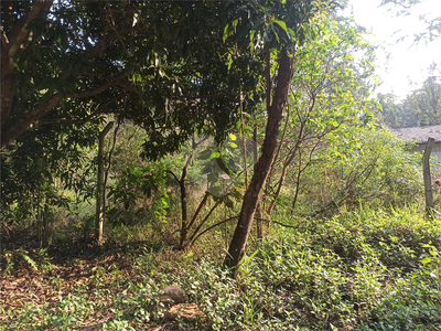 Terreno, 600 m² - Foto 4
