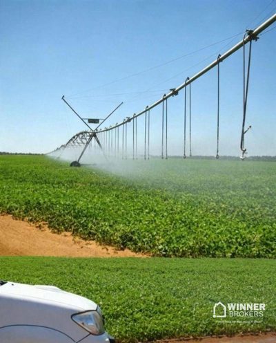 Fazenda, 11829 hectares - Foto 3