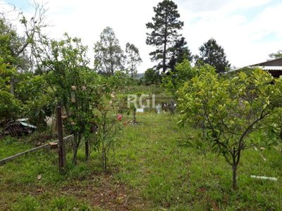 Terreno, 989 m² - Foto 5