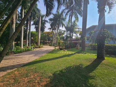 Sítio, 4 quartos, 5000 m² - Foto 3