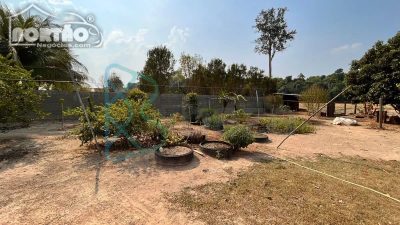Casa, 4 quartos, 120 m² - Foto 3