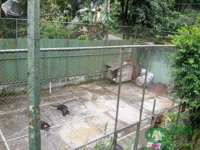 Casa, 6 quartos, 606 m² - Foto 4