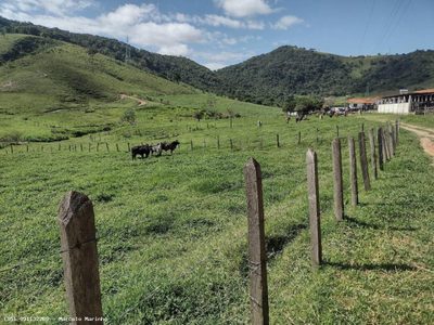 Fazenda, 150 hectares - Foto 2