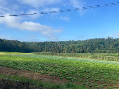Terreno, 19 hectares - Foto 4